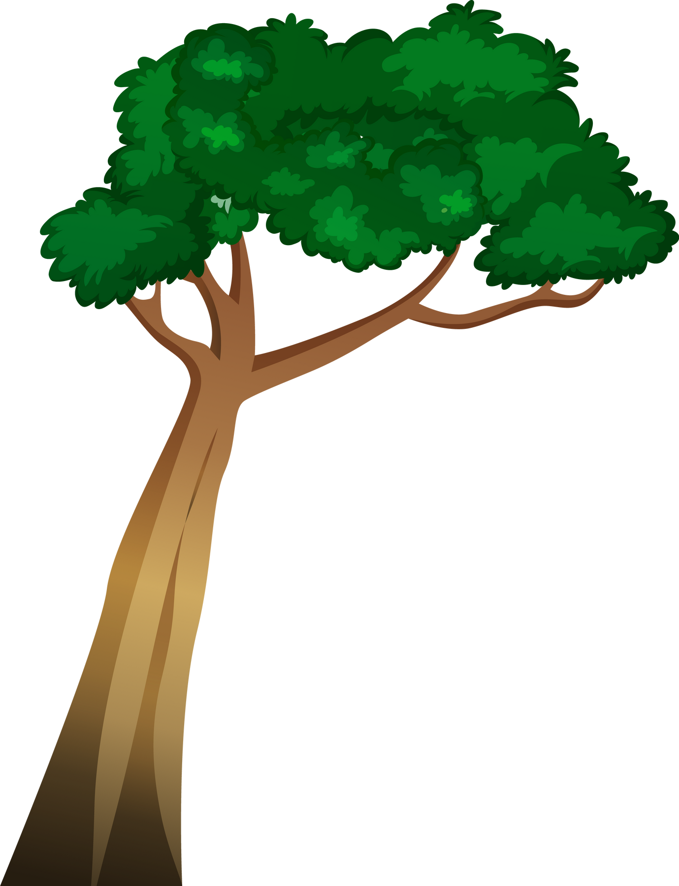 Tree in jungle